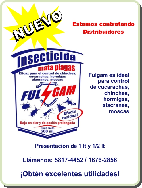 Insecticida Fulgam